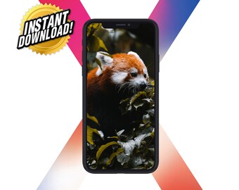 Red Panda Wallpaper Etsy Australia