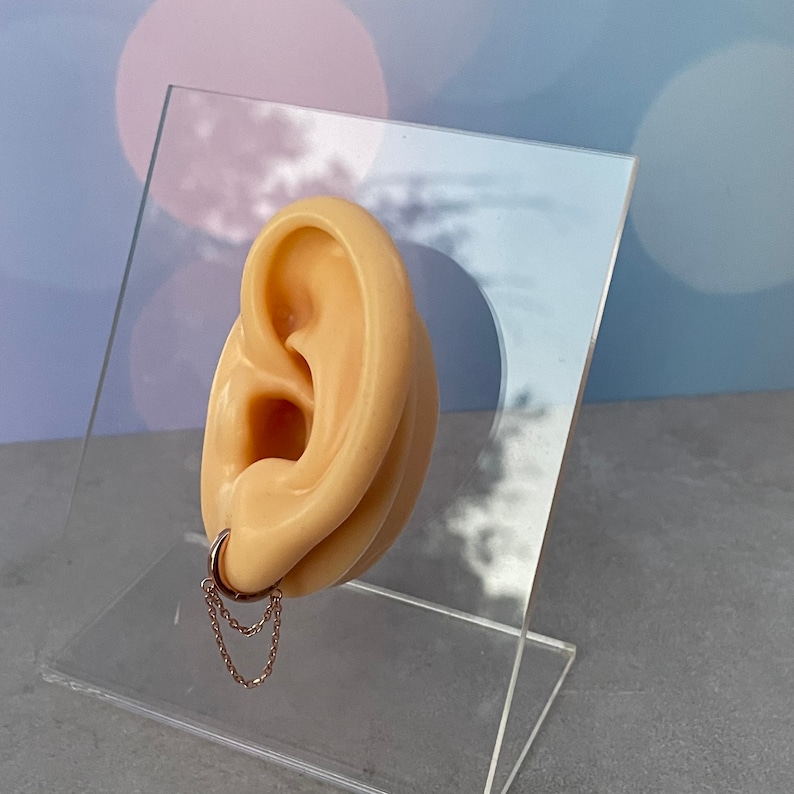 May include: A close-up of a fake ear with a small hoop earring with a chain dangling from it. The ear is displayed on a clear acrylic stand.