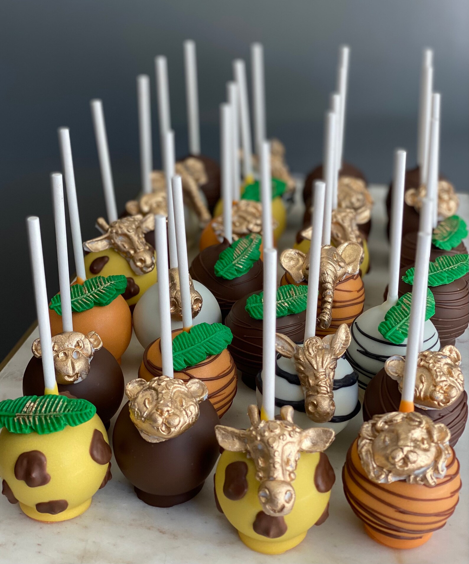 2 DOZEN Safari/Jungle Cake Pops/ Wild One Cake Pops Chocolate Etsy