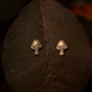 Mushroom Stud/Mushroom Earring/Mushroom Jewelry/Fungi Stud/Fungi Earring/Fungi Jewelry/Studs/Stud Earring/Mushroom/Mushroom lover/Fungi Love