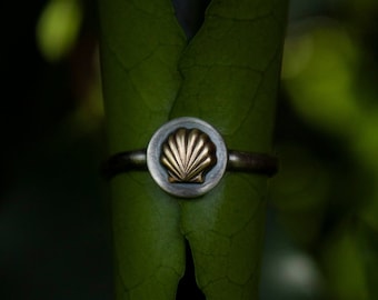 Sea Shell Ring, Solid Brass and Sterling Silver, Ocean Jewelry