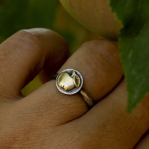 Apple Ring/Fall Ring/Apple Jewelry/Fall Jewelry/Autumn Jewelry/Teacher Jewelry/Autumn Ring/Teacher Gift/Teacher Ring/Apple Lover/Fruit Ring