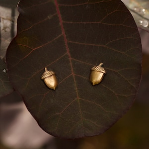 May include: Two gold acorn shaped earrings on a dark brown leaf.