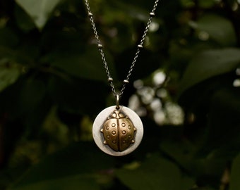 Ladybug Necklace/Ladybug Pendant/Ladybug Jewelry/Ladybird Necklace/Ladybird Jewelry/Ladybird Pendant/Good Luck Symbol/Charm Necklace/Charm