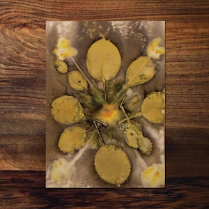Originele Eco Print / Ecoprint Card / Ecoprint / Eco Dyed / Botanical Print / One of a Kind Art / Botanische Kunst / Botanische Kaart / Nature Print / Nature Art