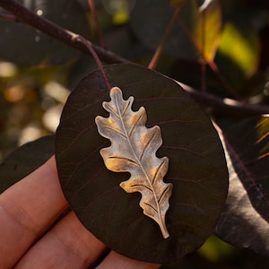 Oak Leaf Pin/Oak Leaf Brooch/Oak Pin/Oak Brooch/Leaf Pin/Botanical Pin/Witch Pin/Brass Brooch/Lapel Pin/Vintage Style Pin/Push Back Pin/Tie image 2