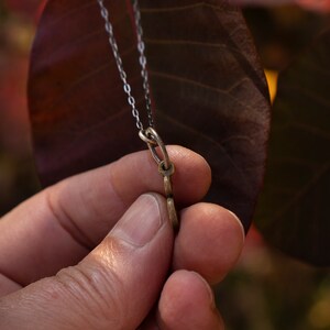 Puede incluir: Un collar de cadena plateada con un colgante de bronce en forma de una letra 'S' estilizada. El colgante se sostiene en una mano sobre un fondo de hojas rojo-marr&oacute;n.