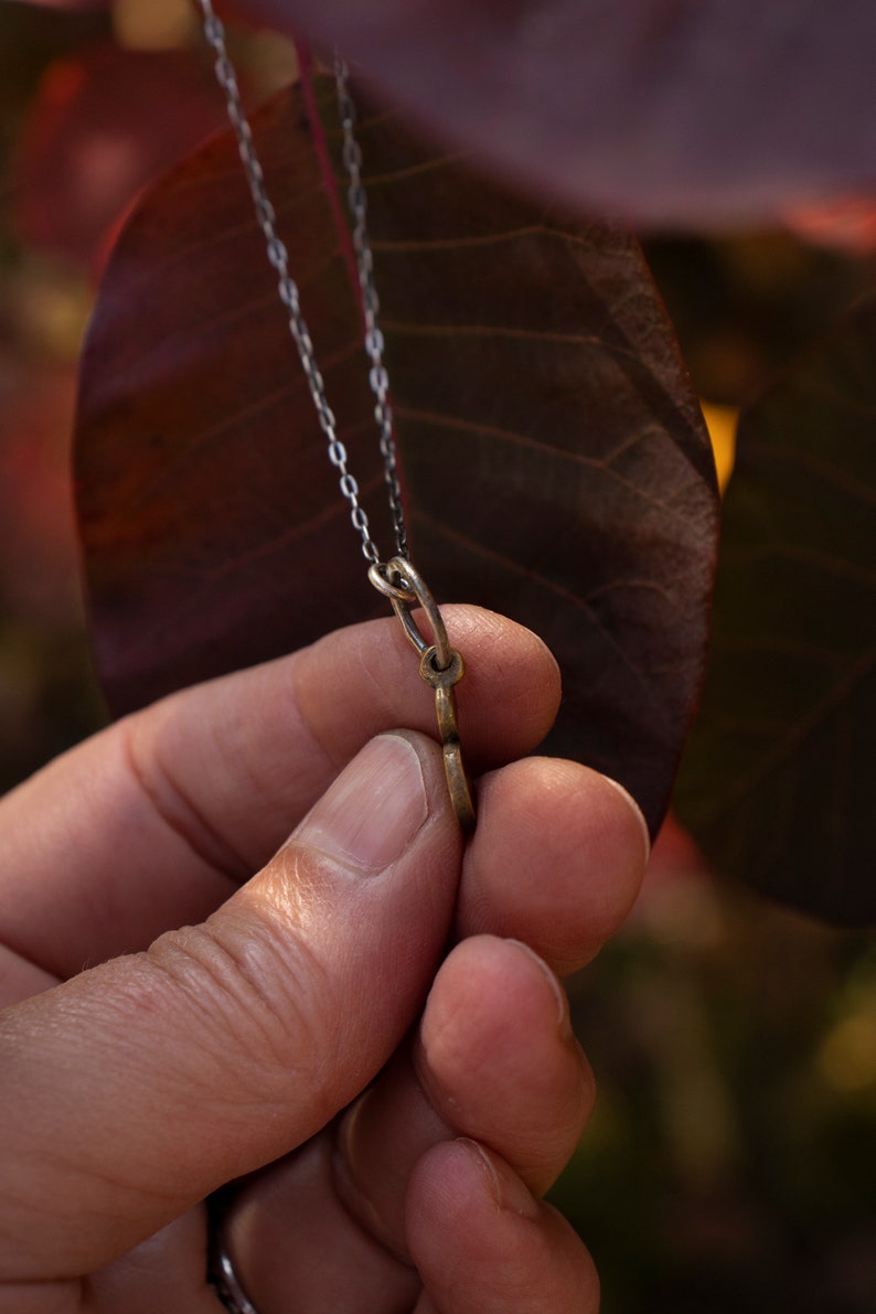 Puede incluir: Un collar de cadena plateada con un colgante de bronce en forma de una letra 'S' estilizada. El colgante se sostiene en una mano sobre un fondo de hojas rojo-marr&oacute;n.