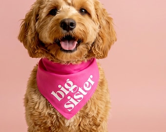 May include: A golden-colored dog with curly fur wearing a bright pink triangular bandana around its neck. The bandana features the white text "big sister" printed in a clean, sans-serif font. The dog is sitting and facing forward with its mouth open.
