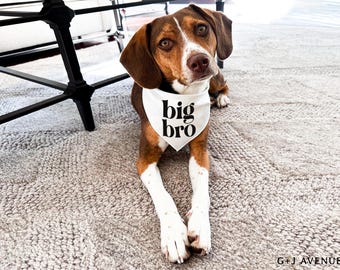 BIG BRO or SIS Pregnancy Announcement Dog Bandana | Family Dog Promoted Baby Reveal with Pet