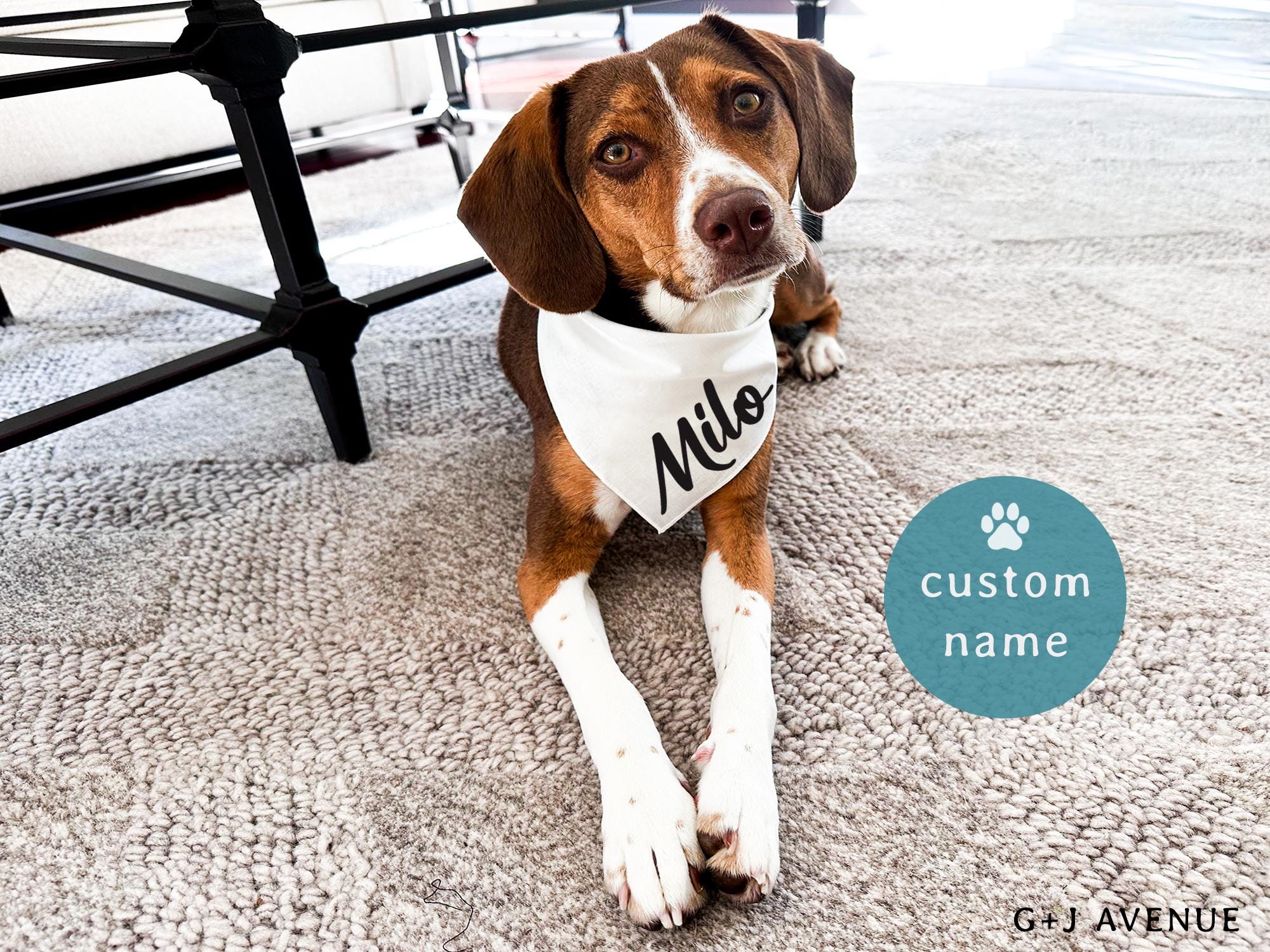 Personalized Dog Bandana | Custom Dog Bandana |New  Pet Name Scarf