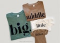 4th Sibling Shirts | Big Middle Little Littlest Bodysuits and Tees | Fourth Baby Announcement | Family Matching Shirts