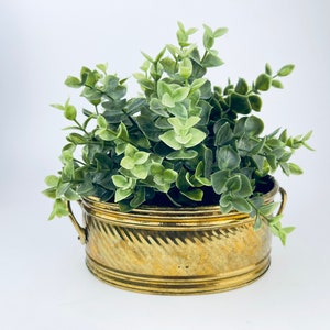 May include: A brass planter with a textured, ribbed design and two handles. The planter is filled with a green leafy plant.
