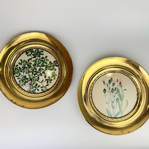 May include: Two vintage brass plates with floral designs. One plate features a green leafy plant, the other has pink and green flowers. The plates have a gold finish and a decorative edge.