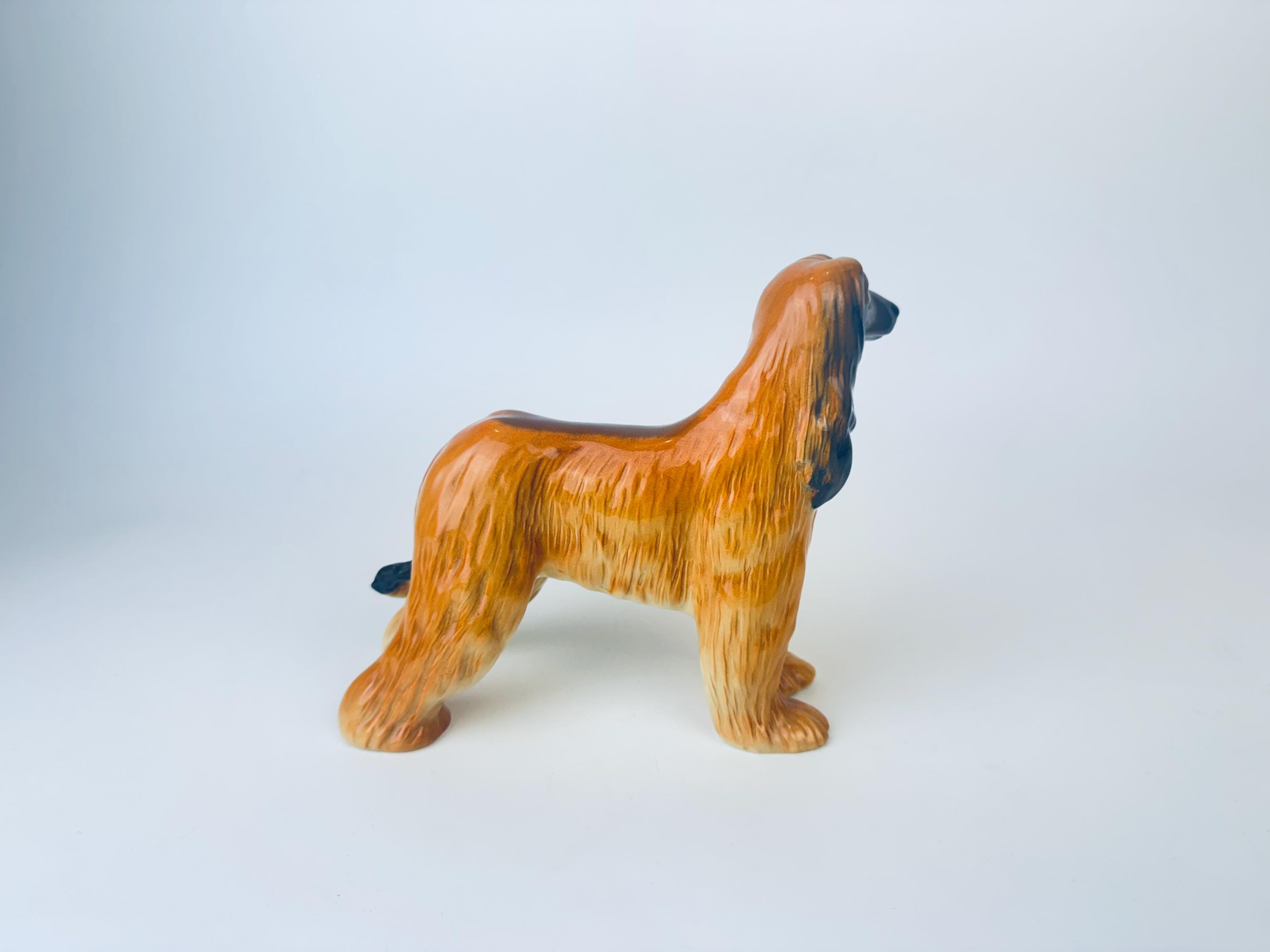 ヴィンテージ アフガンハウンド 磁器製 犬置物 - イギリス