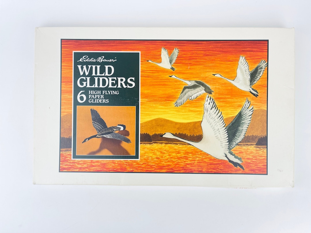 Vintage Eddie Bauer Bird Gliders Six 6 High Flying Paper Gliders Art by