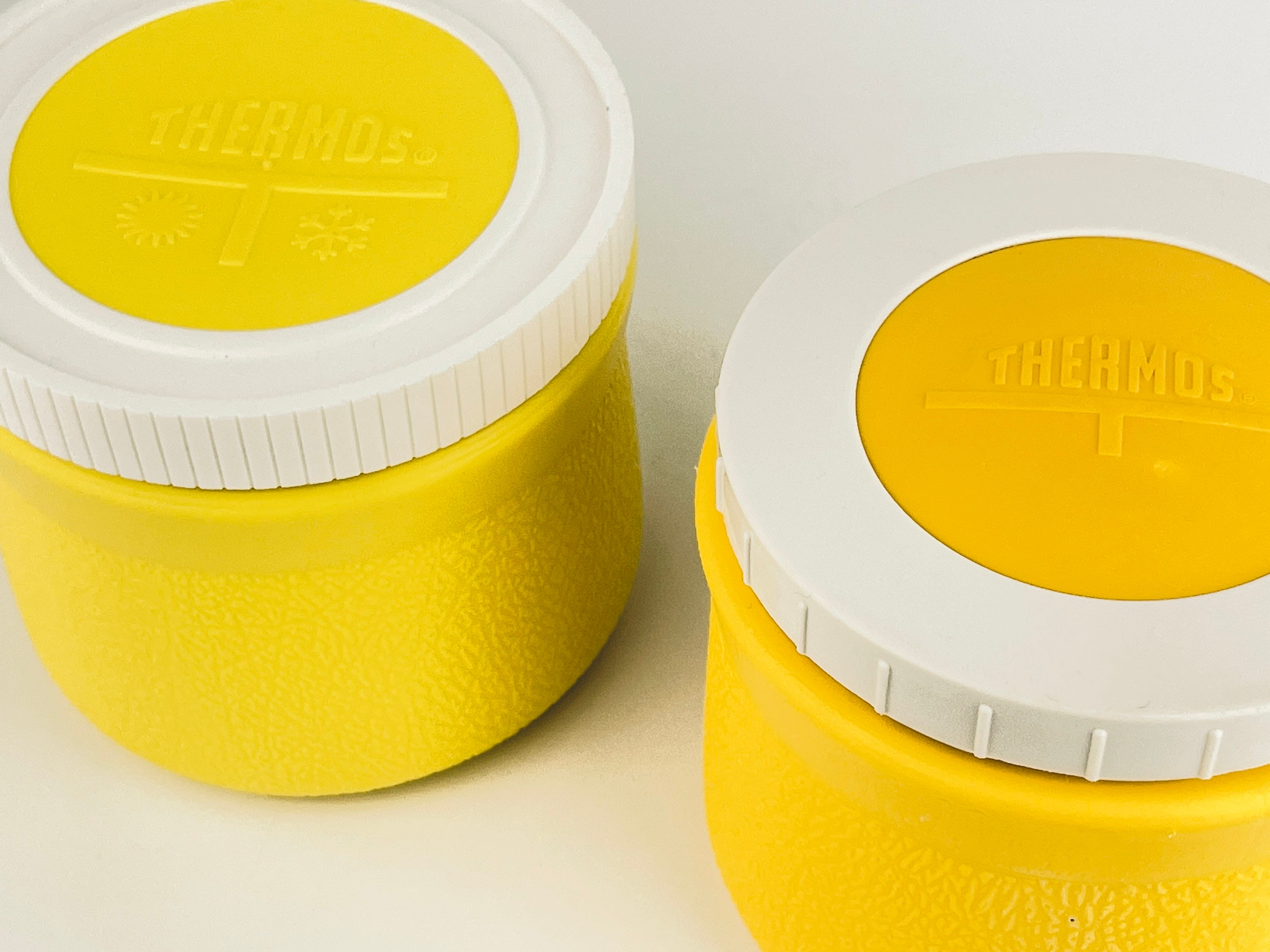 Thermos containers best sale