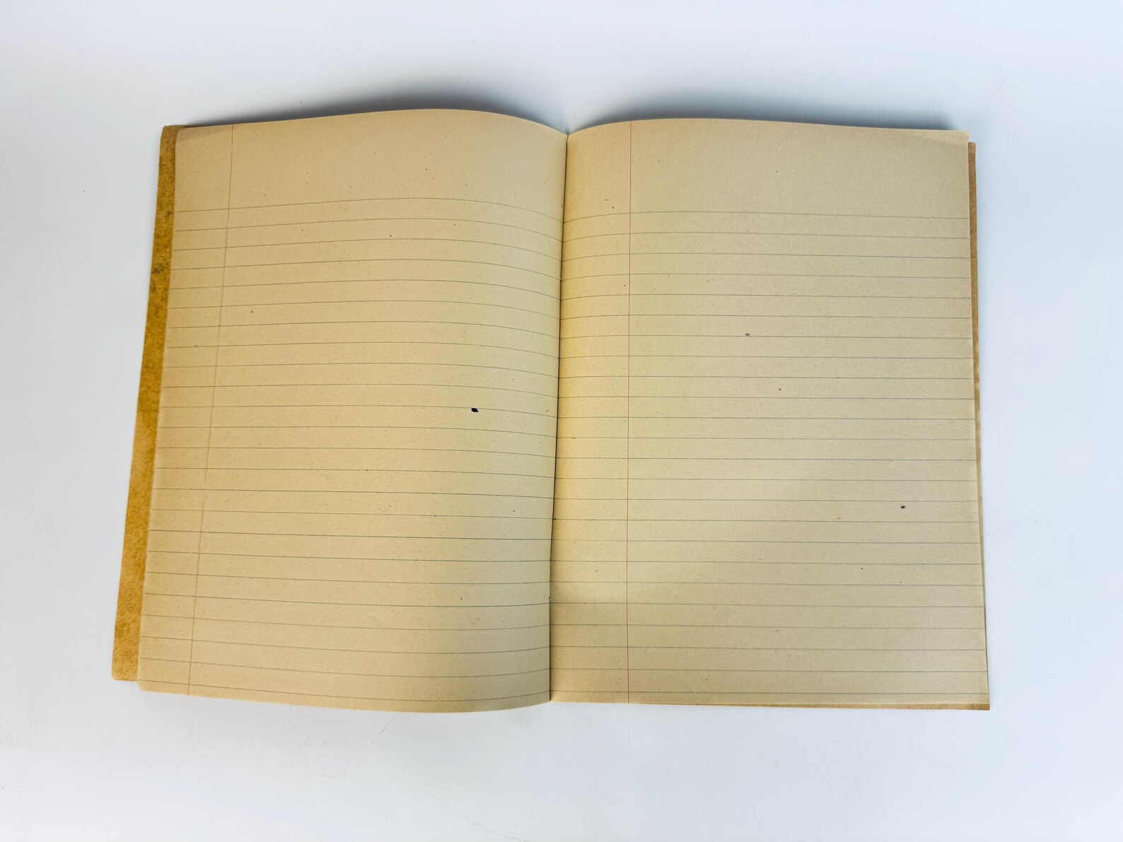 Vintage 1930s W.J. Gage School Notebook • “A Happy Family” Dog & Girl ...