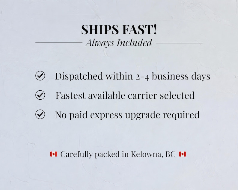 May include: White background with the text "SHIPS FAST! Always Included." The text is followed by a list of three bullet points: "Dispatched within 2-4 business days," "Fastest available carrier selected," and "No paid express upgrade required."