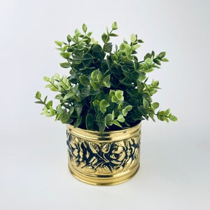 May include: A small, round, gold-colored planter with a detailed floral design. The planter is filled with a vibrant green plant with small, round leaves. The planter is made of metal and has a shiny finish. The overall aesthetic is vintage and decorative.