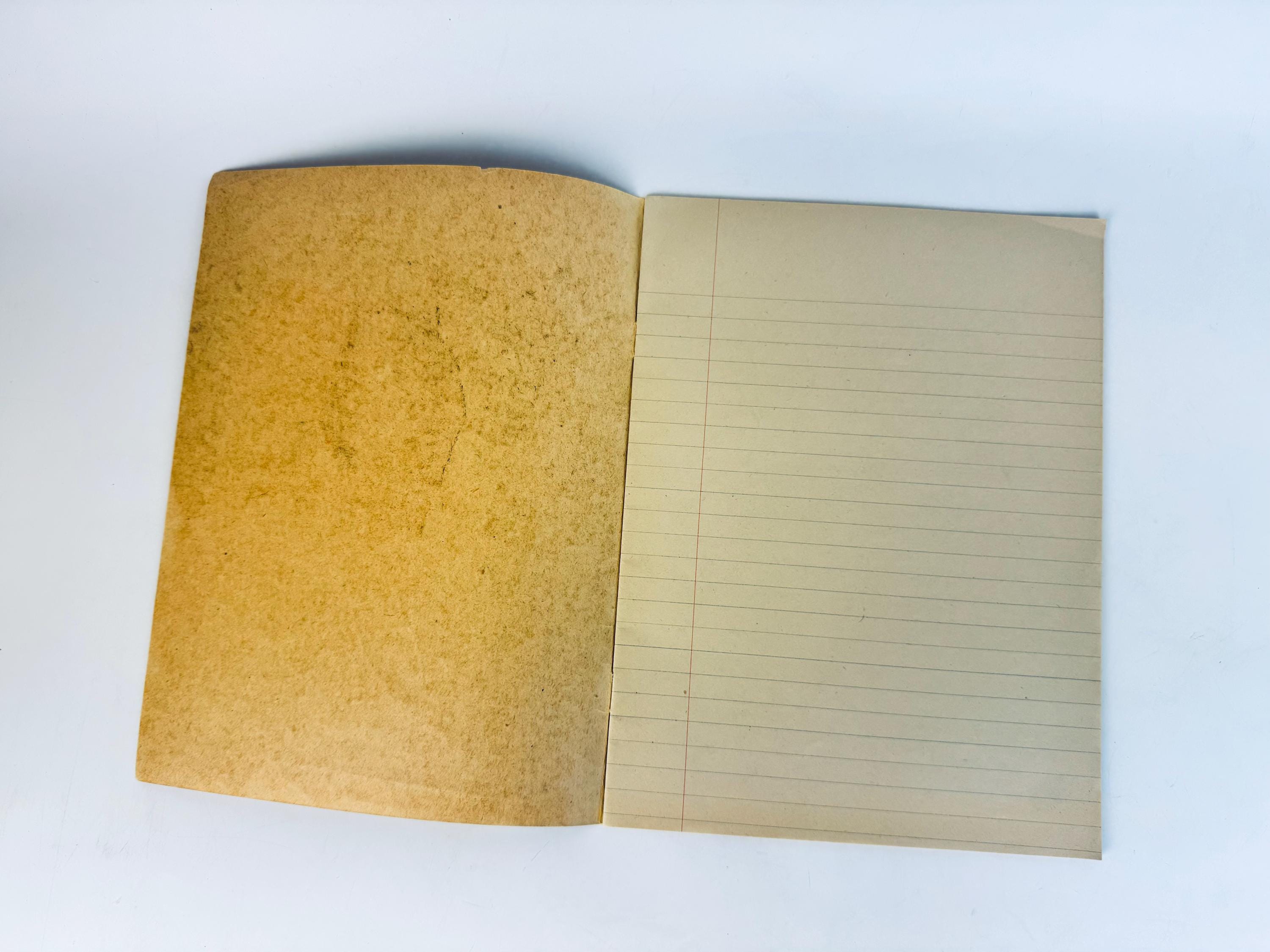 Vintage 1930s W.J. Gage School Notebook • “A Happy Family” Dog & Girl ...