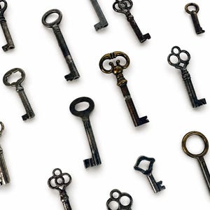 Può includere: Una collezione di varie chiavi in metallo antico sparse nell'inquadratura. Le chiavi presentano diverse forme dell'anello, inclusi design rotondi, ovali e decorativi, con lunghezze e finiture varie in tonalità di ferro scuro, ottone e argento.
