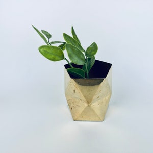May include: A gold geometric planter with a green leafy plant inside.