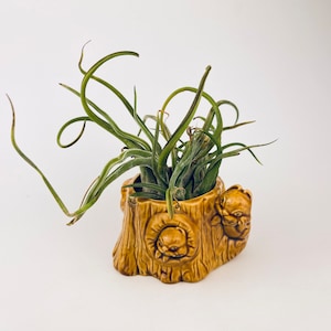 Vintage Squirrel & Tree Trunk Ceramic Planter - Mid-Century Woodland Whimsy