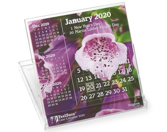 2020 Mini Desk Calendar - Flower and Plant Photography With Holidays - in Compact, Stand-Up Floppy-Disk 4x4 Jewel Case