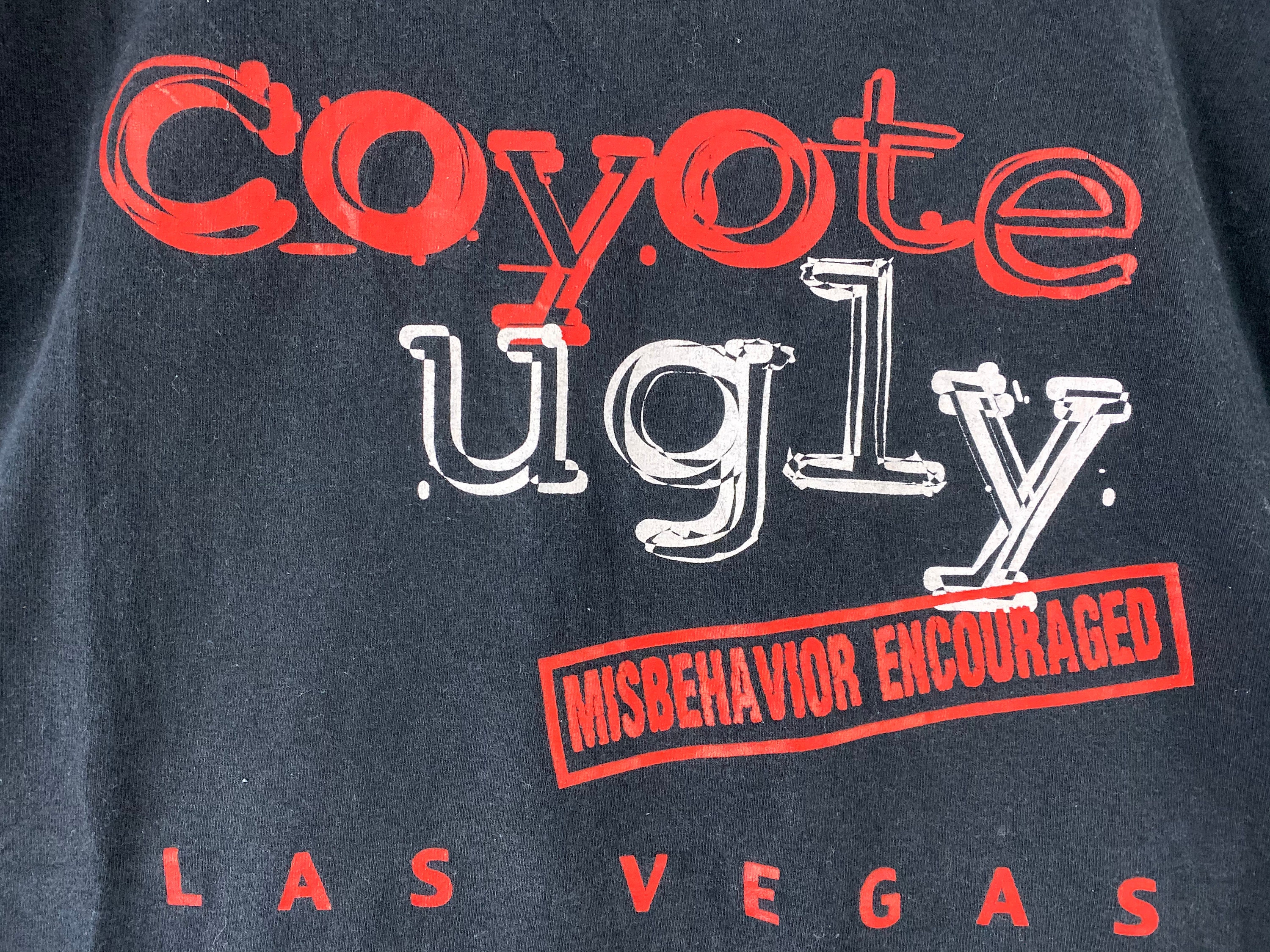 Vintage 00s Coyote Ugly American Romantic Musical Comedy Drama