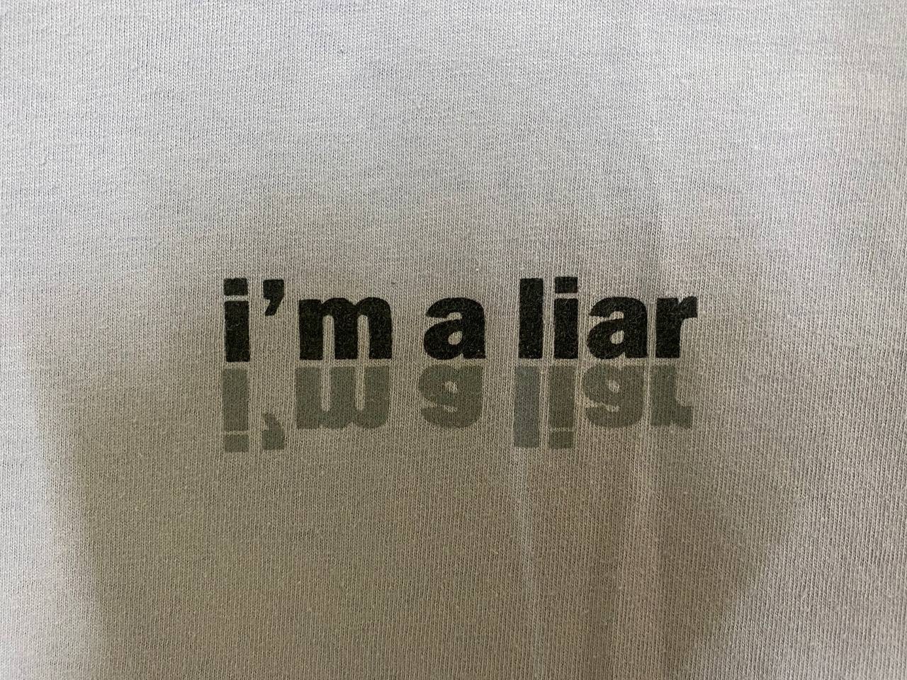 ヴィンテージ 90年代 1994年 ROLLINS BAND I'm a liar ワールドツアー