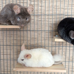 Chinchilla Ledge Shelves set 3pcs. image 3