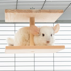 chinchilla ledge  double sided  9,8&#39;&#39; wide (248mm)