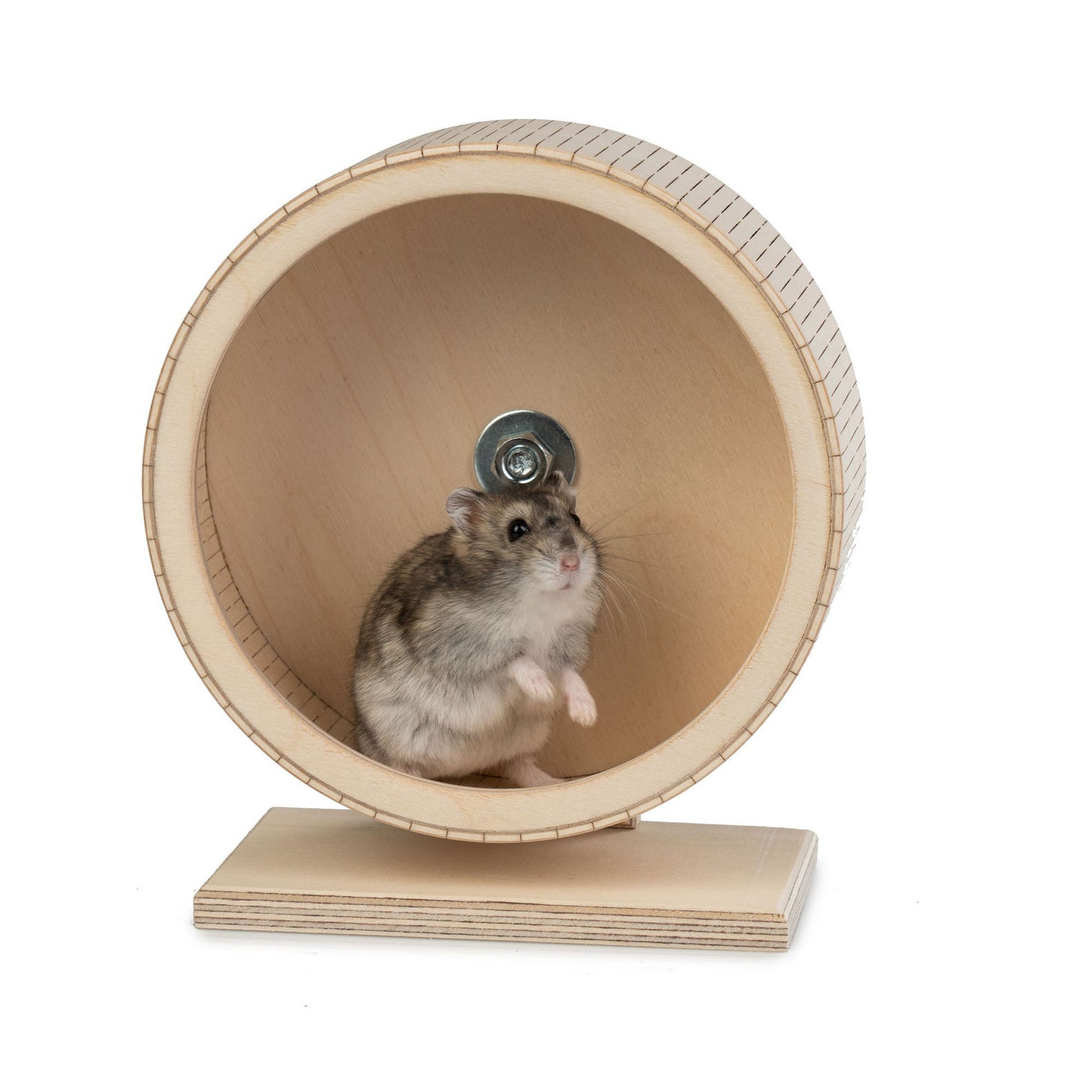 Hamster Running Wheel 11'' Diameter 3,93'' Wide (28cm X 10cm) - Etsy