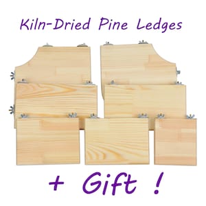 Kiln-Dried Pine Ledges for Chinchilla, Degu, Hamster, and Other Critters – 7pcs Set + Gift!