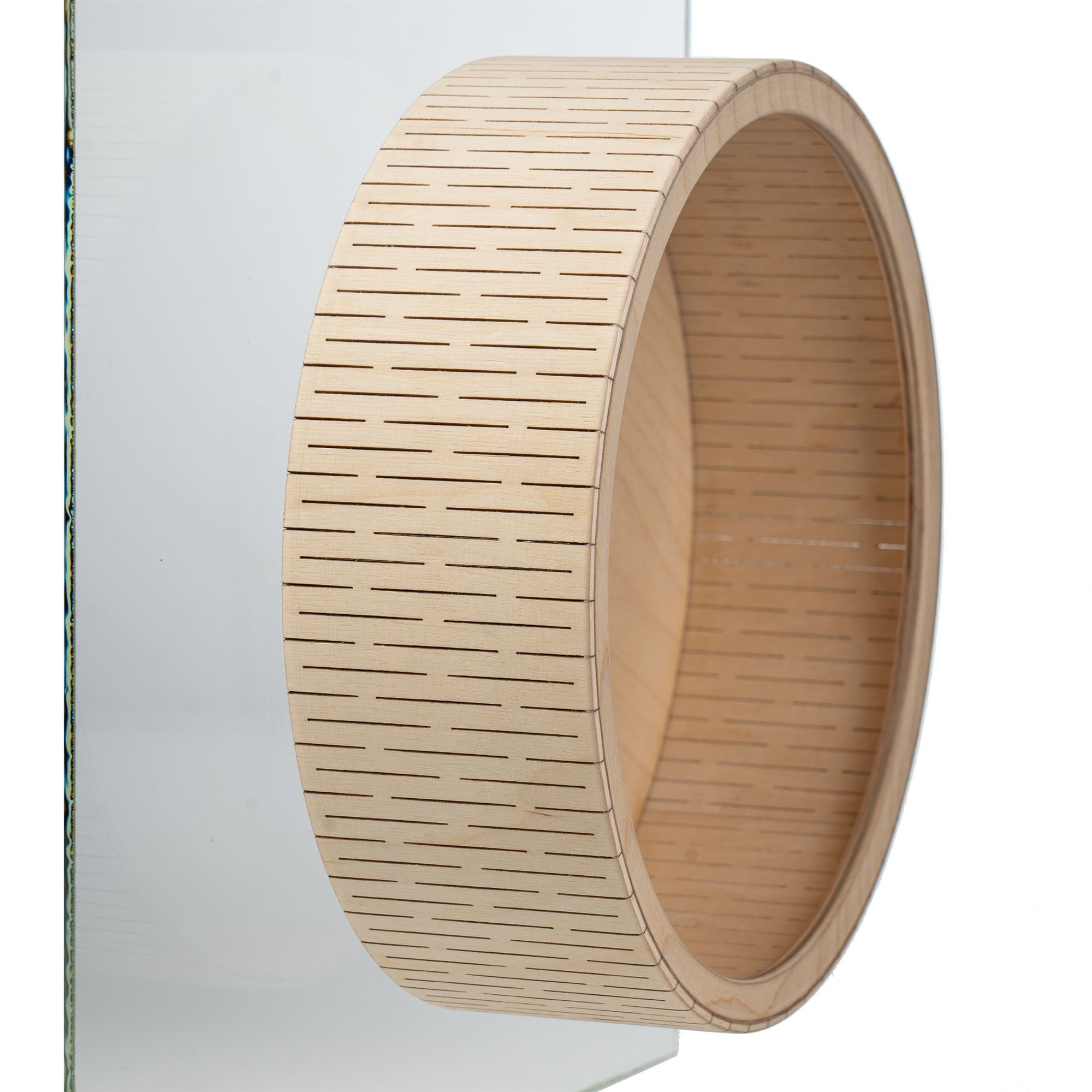 Gabbia Criceti Porcellini Ruota Silenziosa Per Criceti Toddmomy - Giocattolo Esercizio Legno 15cm Giocattolo Criceti Porcellini India - 9