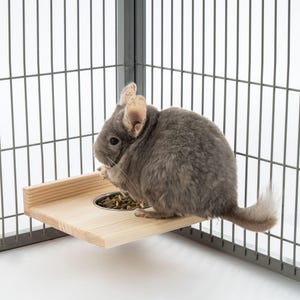 May include: A gray chinchilla eating from a small metal bowl on a wooden platform inside a wire cage.