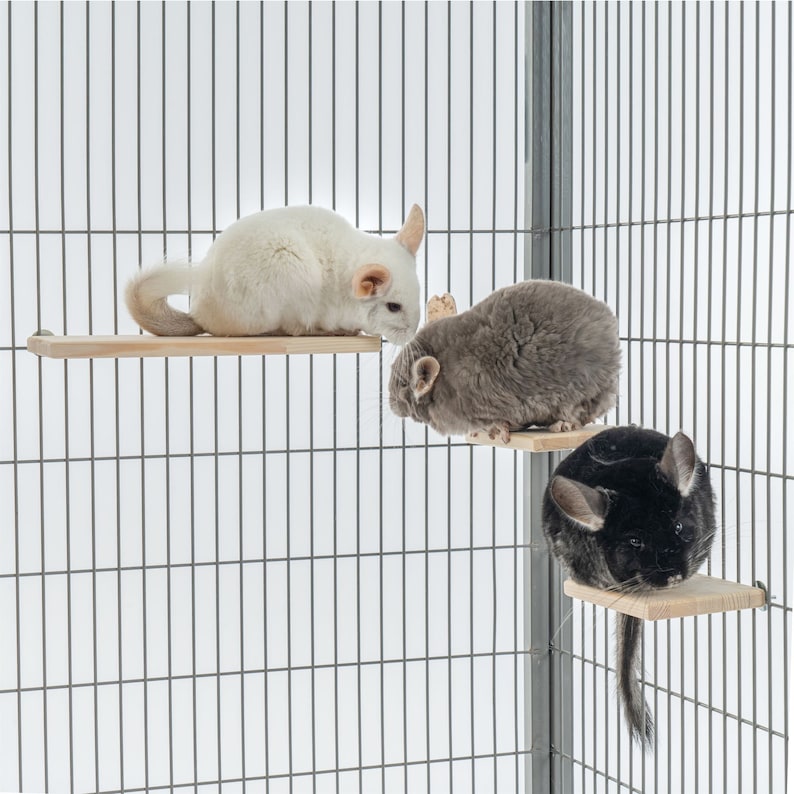 Chinchilla Ledge Shelves set 3pcs. image 10