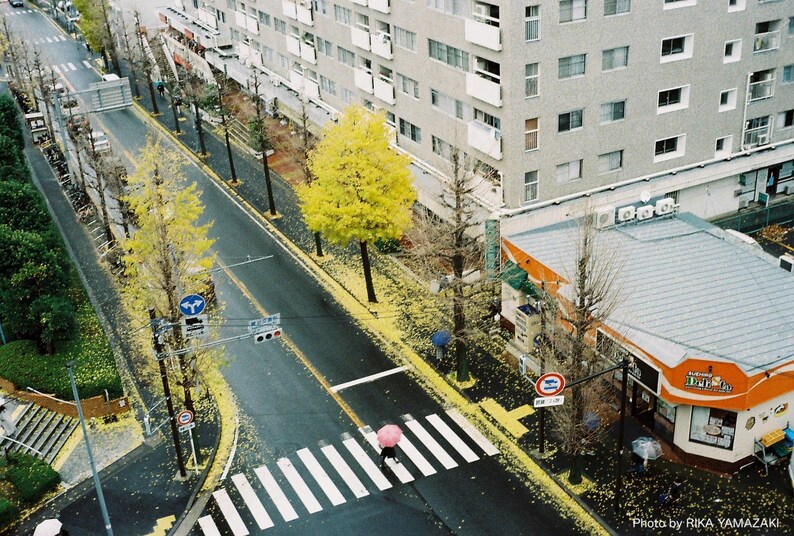 Contrail Film Camera - Street photo taken with Olympus Trip 35 – vintage tones and dynamic light