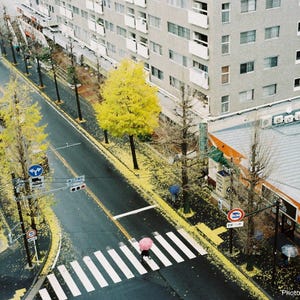 Contrail Film Camera - Street photo taken with Olympus Trip 35 – vintage tones and dynamic light