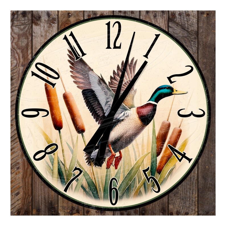Red Cardinal Bird Clock: Wild Bird Decor - Etsy