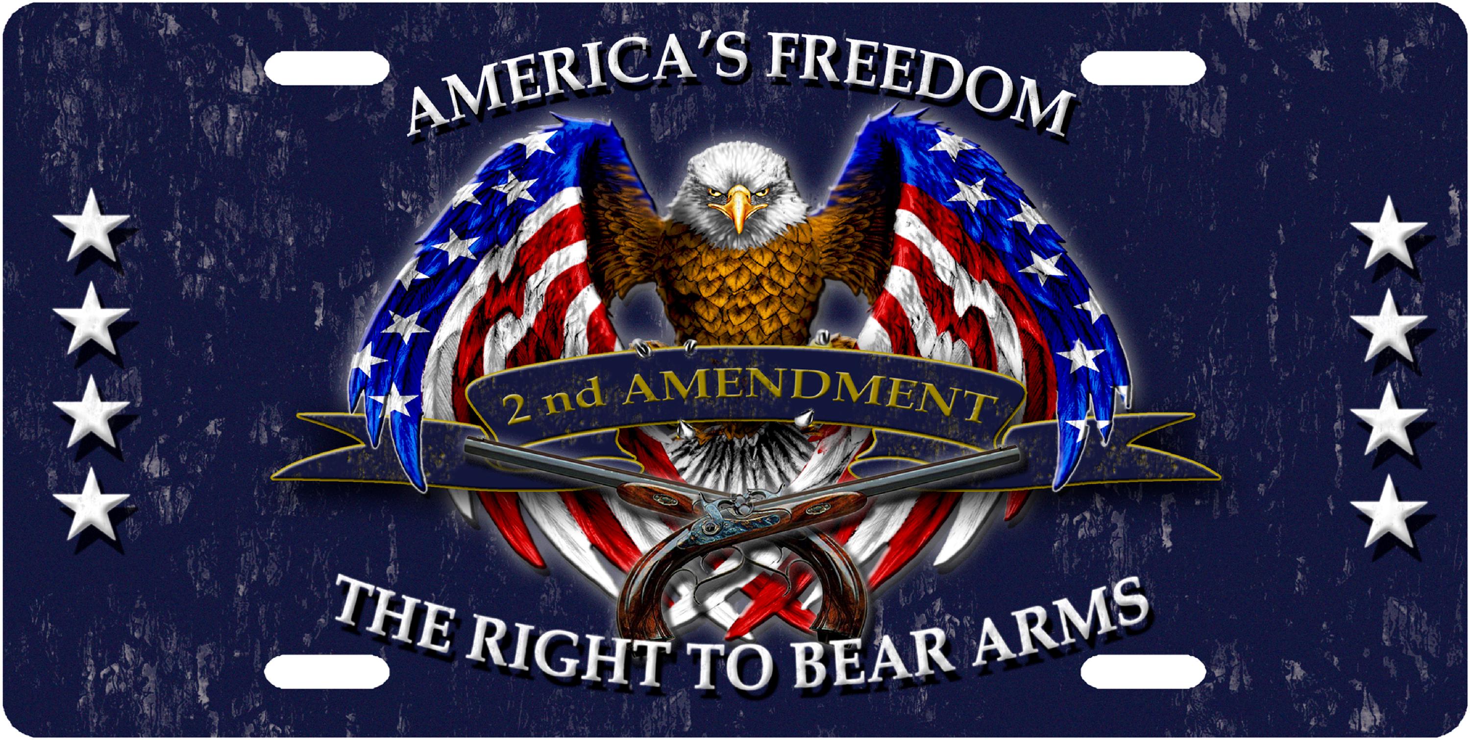“Think Twice Buddy” 2nd Amendment License Plate Frame – Gun Owner Gift