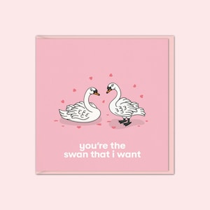 Cartão de Dia dos Namorados com Cisnes | Cartão de Dia dos Namorados Engraçado para Ela | Aquele que Eu Quero | Para Marido, Esposa, Namorado, Namorada, Melhor Amigo, Amante de Cisnes