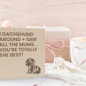 May include: A brown card with the text "I dachshund around + saw all the mums. You're totally the best!" and a cartoon image of a brown and white dachshund.