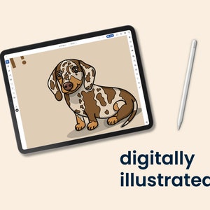 May include: A digital illustration of a brown and white dachshund with brown eyes, sitting on a light brown background. The illustration is displayed on a tablet screen with a stylus pen beside it. The text "digitally illustrated" is below the tablet.