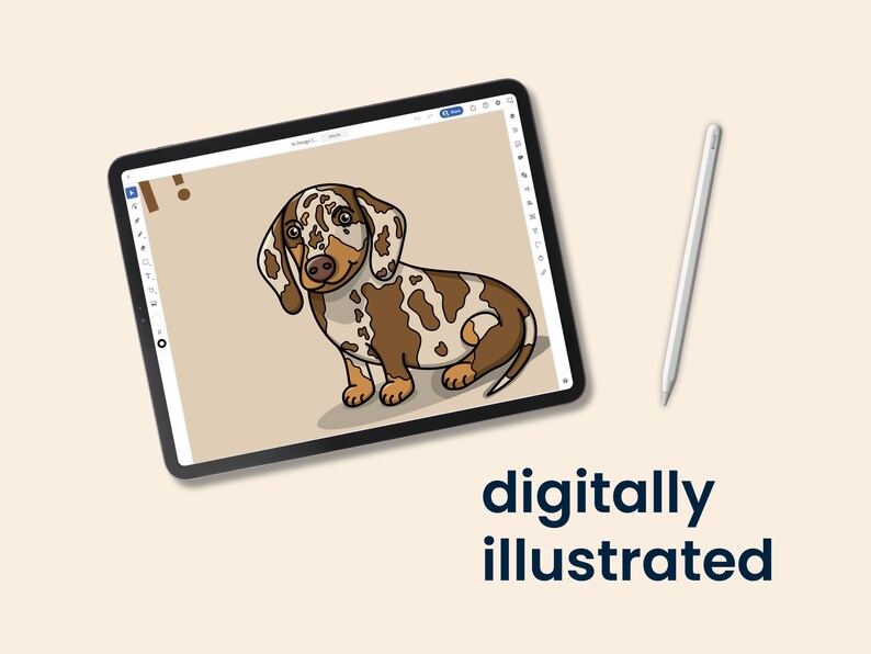 May include: A digital illustration of a brown and white dachshund with brown eyes, sitting on a light brown background. The illustration is displayed on a tablet screen with a stylus pen beside it. The text "digitally illustrated" is below the tablet.