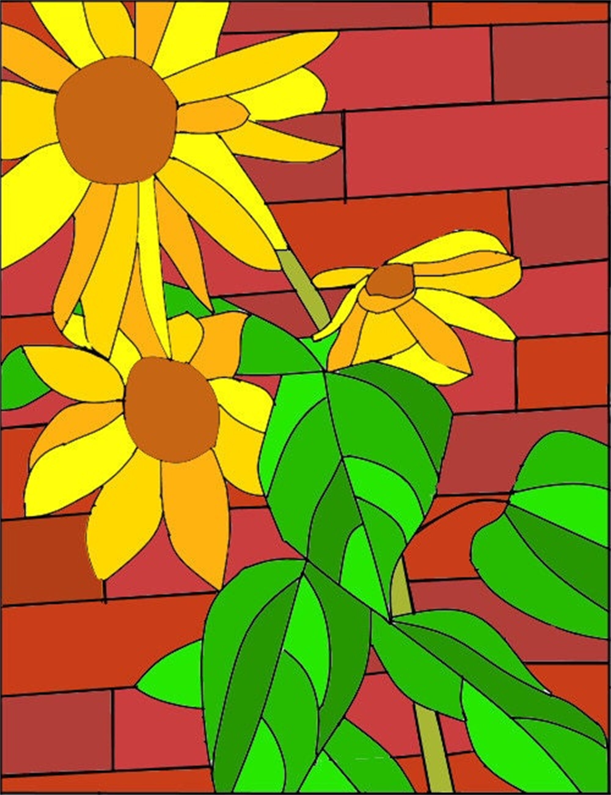 Pellicola Per Vetri Traslucida - Decorazione E Privacy Per Finestre