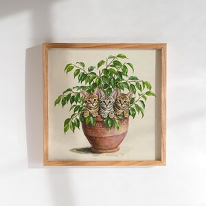 Peut inclure: Une impression d'art encadrée carrée représentant une peinture de trois petits chatons tigrés sortant d'une plante verte aux feuilles denses, placée dans un pot en terre cuite. Le cadre en bois présente une finition naturelle claire.