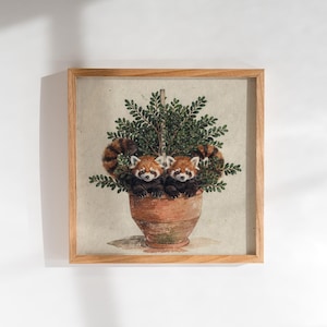 Peut inclure: Une impression encadrée carrée présentant une illustration à l'aquarelle de deux pandas roux nichés dans un pot de fleurs couleur terre cuite. Les pandas sont entourés d'un feuillage vert luxuriant sur un fond neutre blanc cassé.