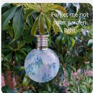 Forget me not solar outlet light